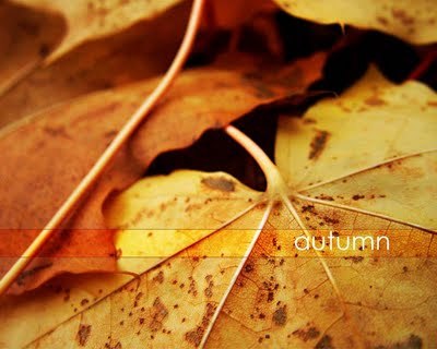 wallpaper_autumn_2-1280x1024 - Toamna