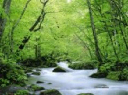 nature-summer-wallpaper-22