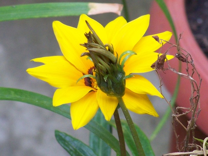 100_5116 - 2 August 2011