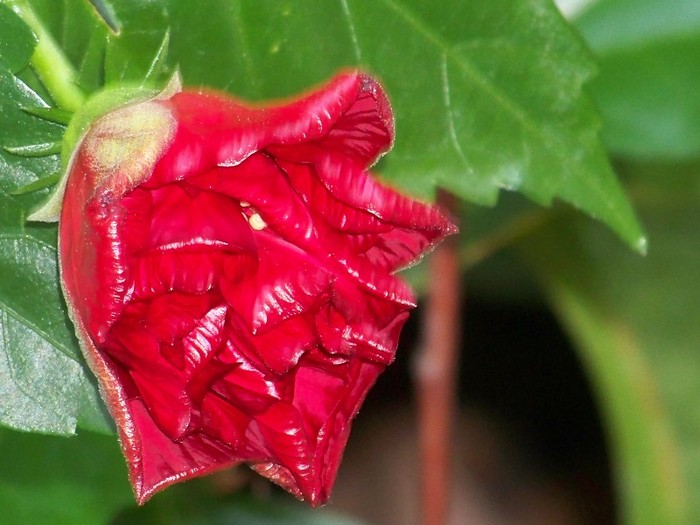 100_5120 - 2 August 2011