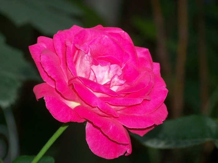 100_5125 - 2 August 2011