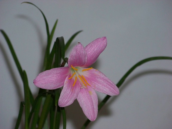 100_5148 - 2 August 2011