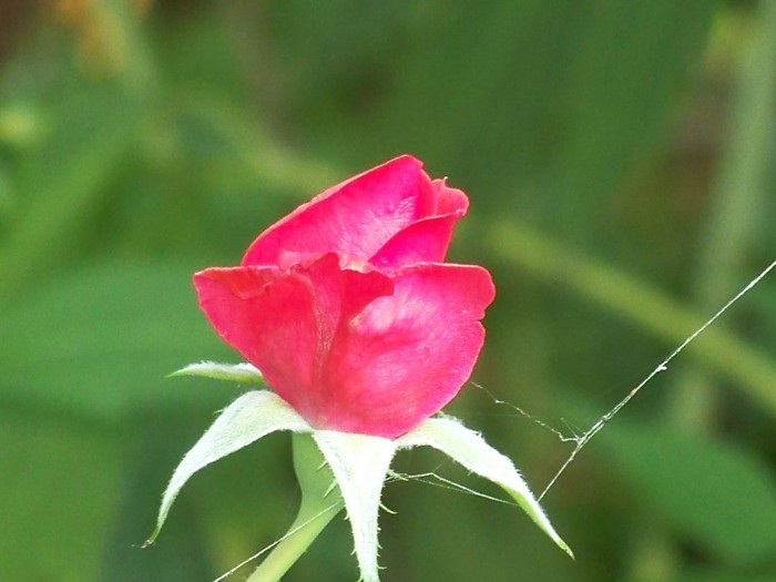 100_5152 - 2 August 2011