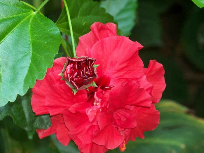 100_5167 - 2 August 2011