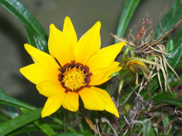 100_5174 - 2 August 2011