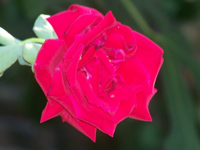 100_5212 - 2 August 2011