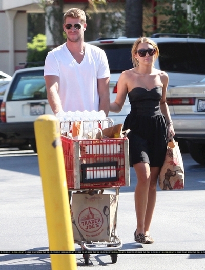 normal_002~748 - Grocery shopping with Liam at Trader Joes in Los Angeles