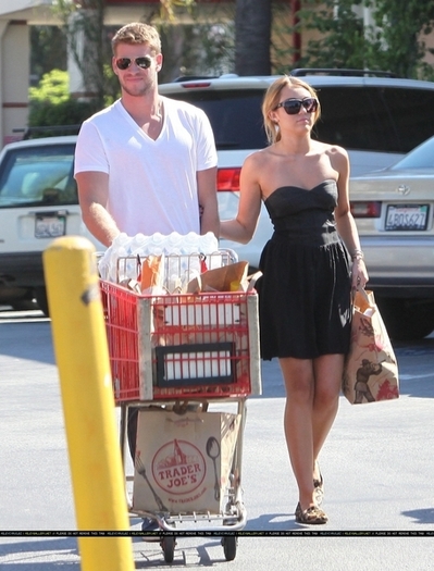 normal_004~693 - Grocery shopping with Liam at Trader Joes in Los Angeles