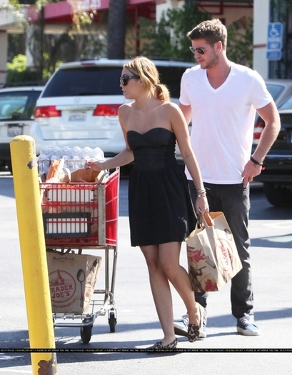 normal_011~519 - Grocery shopping with Liam at Trader Joes in Los Angeles