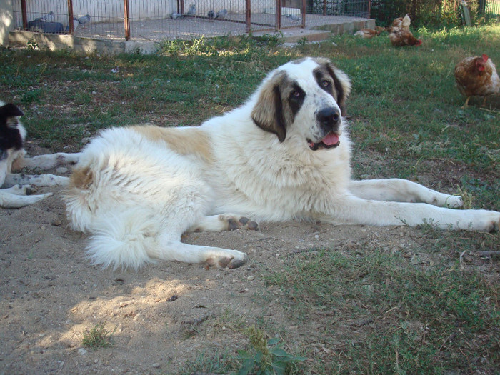 DSC01885; Pin 10 luni
