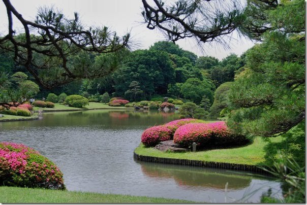 rikugien-pond - gradinile japoneze