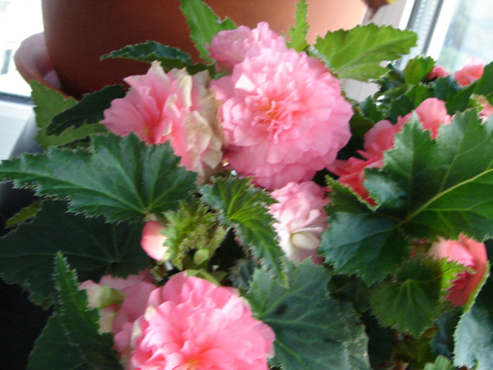 DSC03560