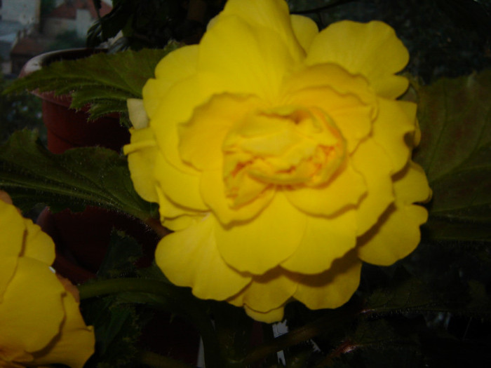 DSC03549