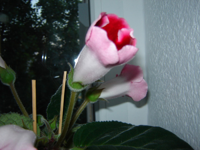 DSC03565