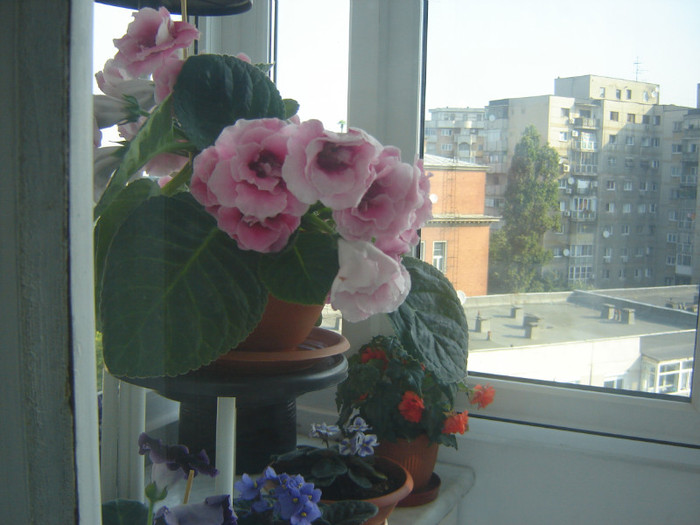 DSC03577