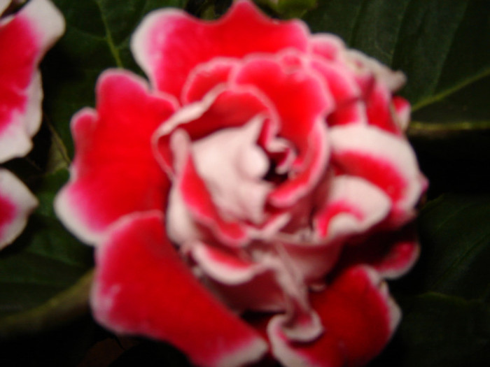 DSC03583