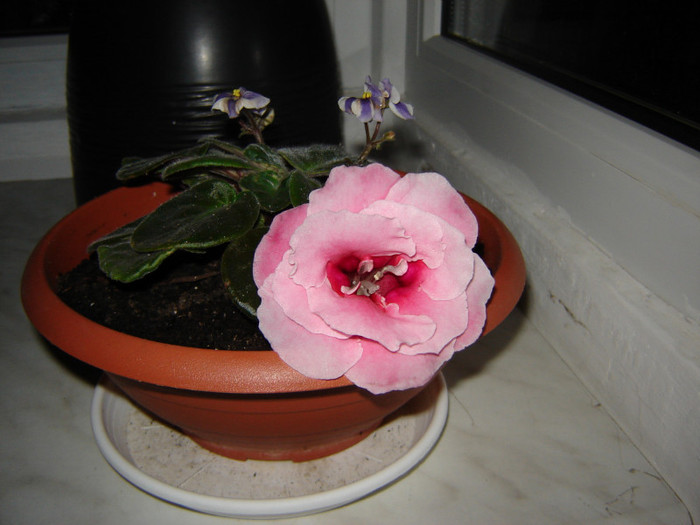 DSC03586
