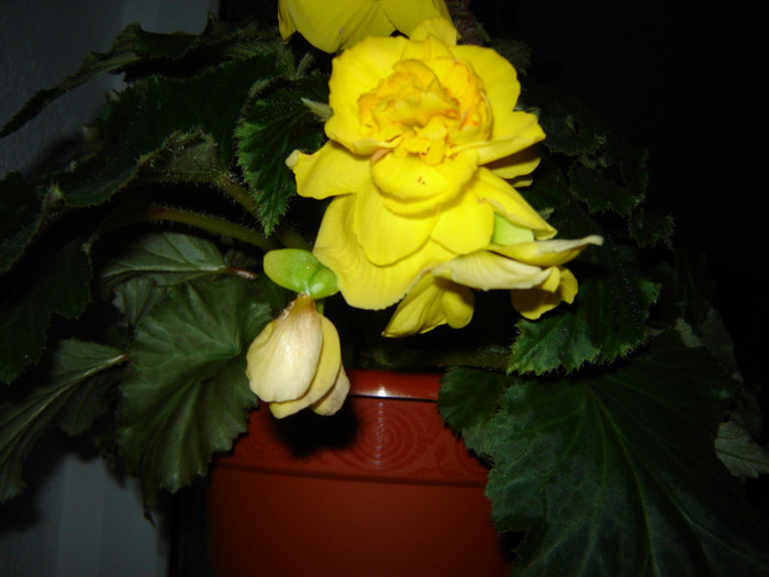 DSC03588