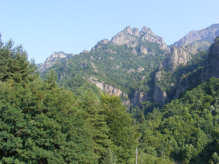 DSCF0242 - Peisaje de munte