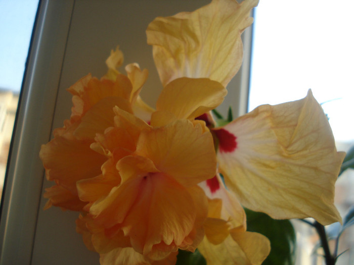 DSC00084