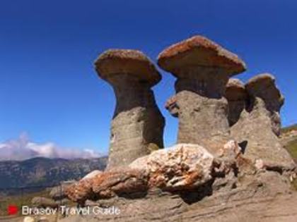 31408_images - poze-muntii-romaniei