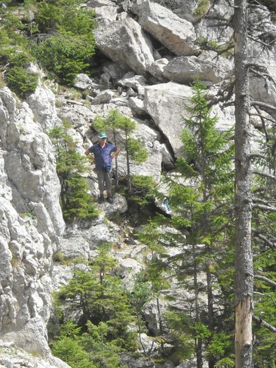 Picture 2650 - RARAU 2011