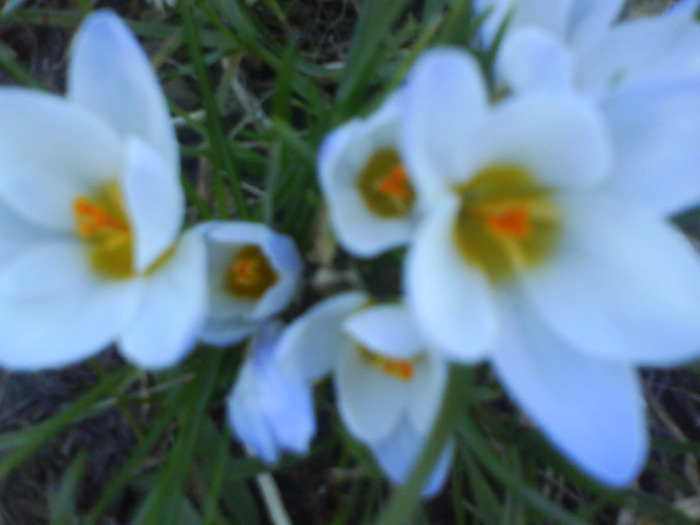 DSC04345