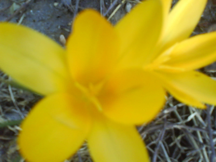 DSC04347
