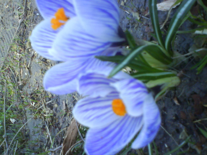 DSC04348