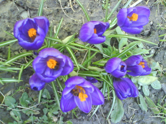 DSC04350
