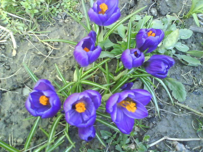 DSC04352