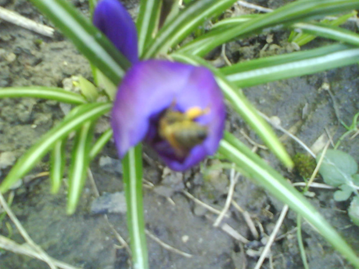 DSC04354