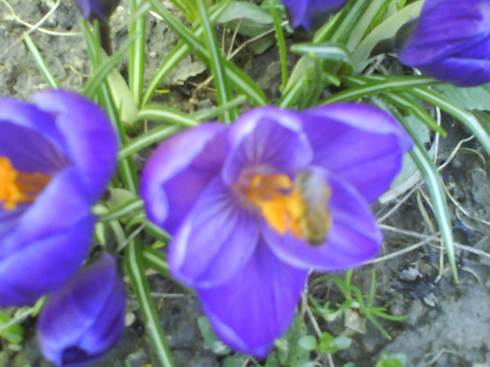 DSC04355
