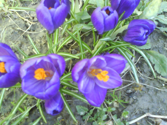 DSC04356