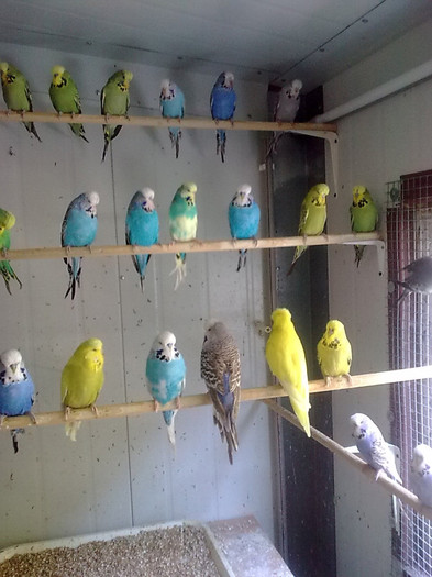 Copy of Copy of Copy of Imagine1217