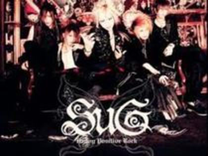 sug (8)