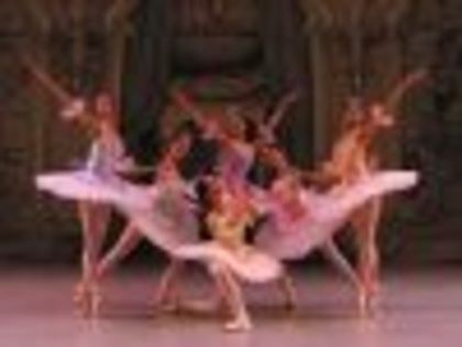 100x75_020918-balet - balerine