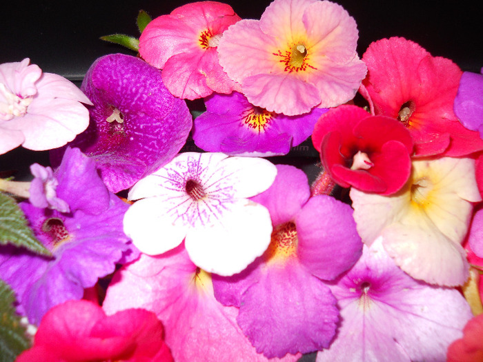 DSCN0996