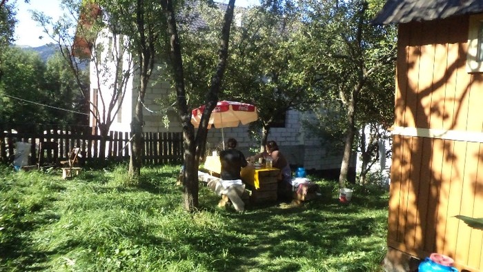 Copy of DSC01278 - in borsa in concediu