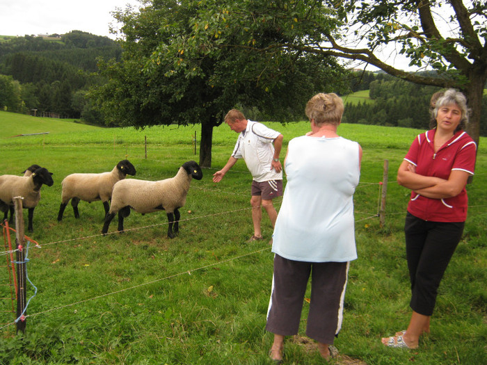 cumparam unul de 8 luni