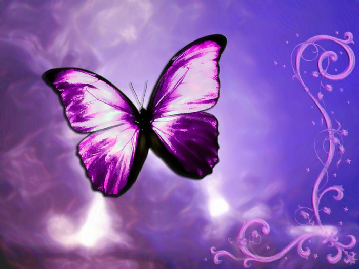 purple-fantasy-butterfly-design