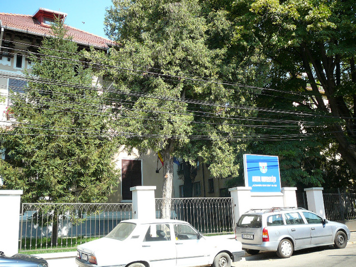 P1300810 - Iasi 26 august 2011