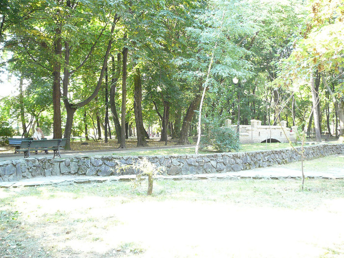 P1300816