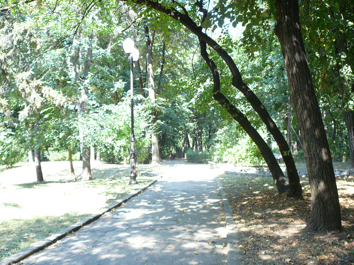P1300817 - Iasi 26 august 2011