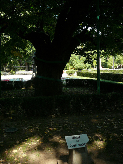 P1300825