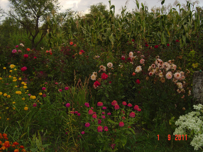 poze 092