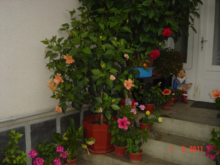 poze 082