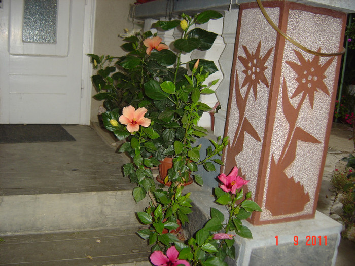 poze 081