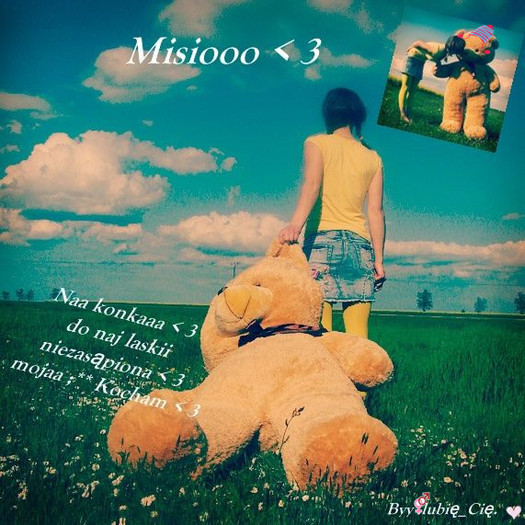 Intre timp in padure...