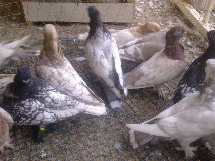 %u0635%u0648%u0631%u0629%u0661%u0666%u0664%u0662